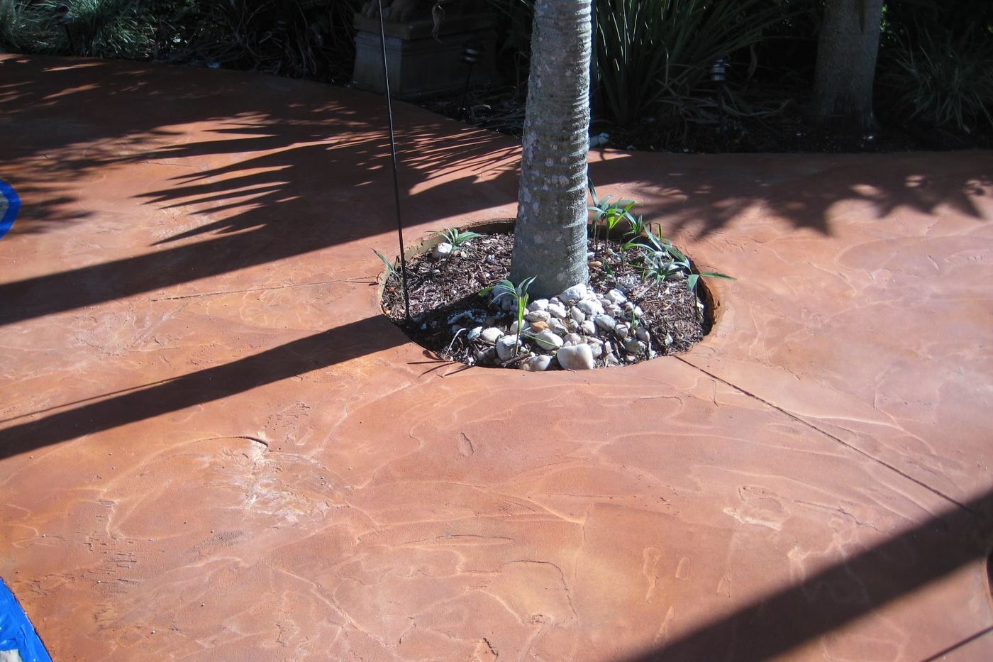 a resurfaced patio worked around a tree planter